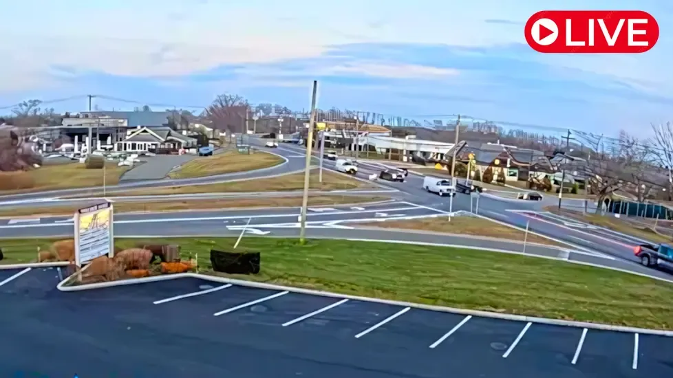 39A Traffic Southampton, New York Live Cam