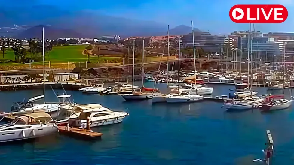 Amarilla Marina & Golf, Tenerife Live Cam