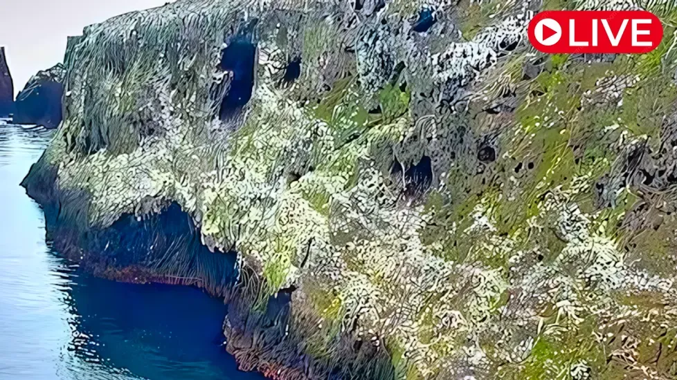 Anacapa Island Cove Live Cam