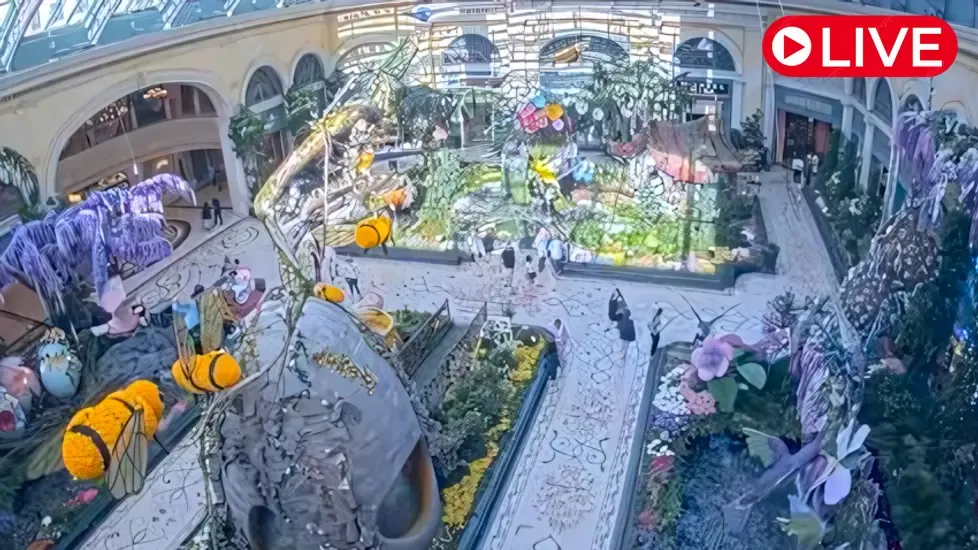Bellagio, Las Vegas Live Cam