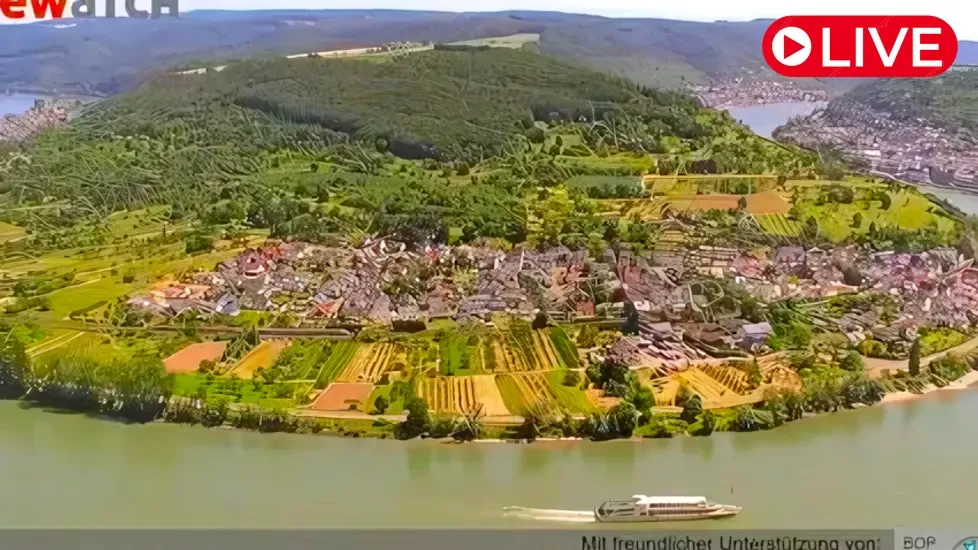 Bopparder Hamm, Germany Live Cam