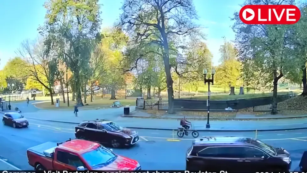 Boston Common, USA Live Cam