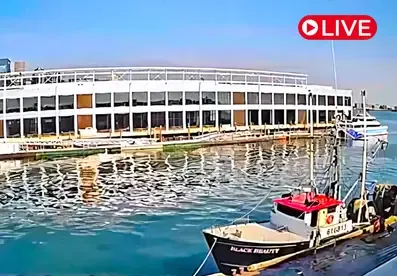 Boston Harbor Fish Pier