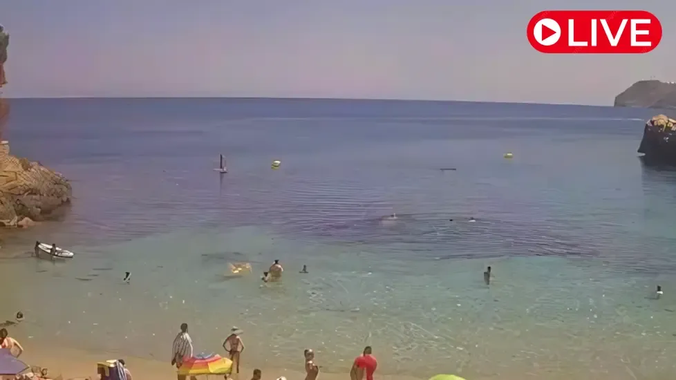 Cala Gat Beach, Mallorca Live Cam
