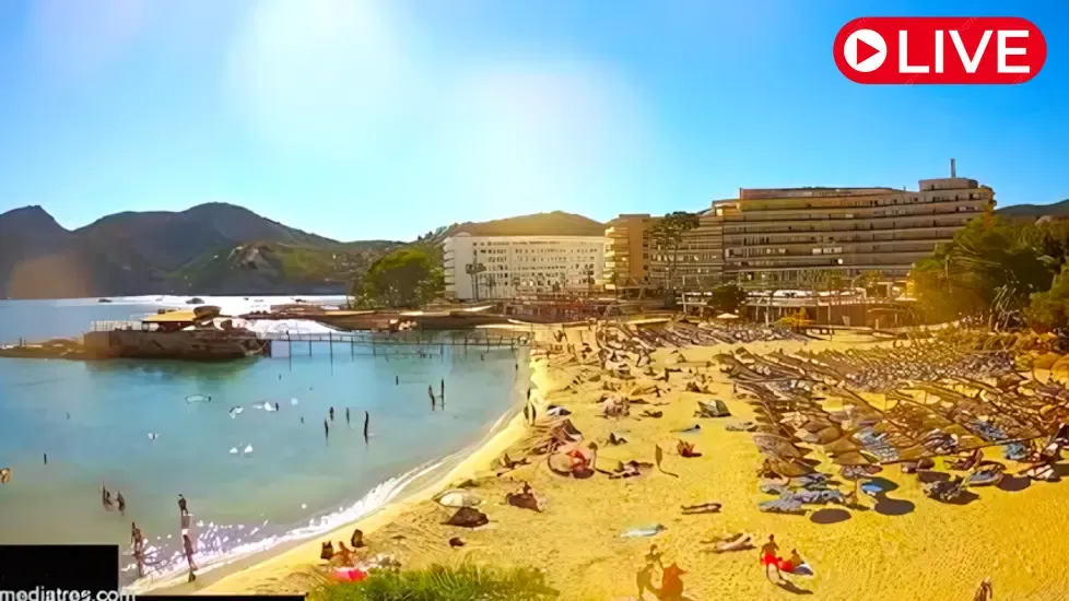 Camp de Mar Beach, Mallorca Live Cam