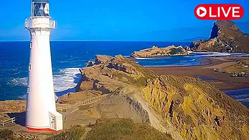 Castlepoint Lighthouse, Wellington Live Cam