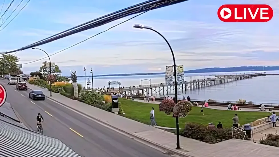 Charlie Don't Surf, White Rock Live Cam