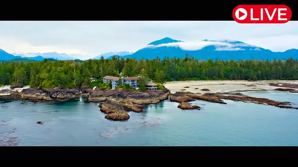 Chesterman Beach, Tofino Live Cam