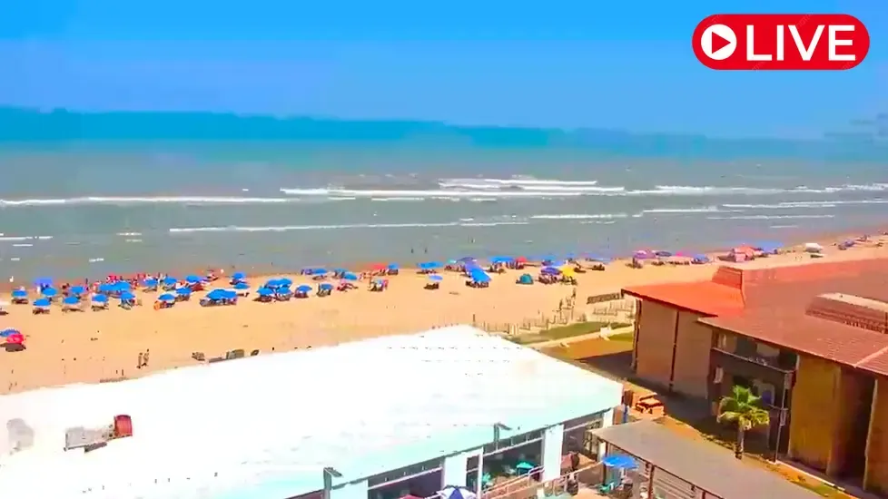 Courtyard South Padre Island Live Cam