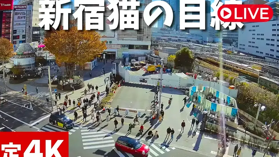 Cross Space Shinjuku, Japan Live Cam