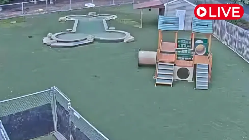 Daycare Play Yard, Maryland Live Cam