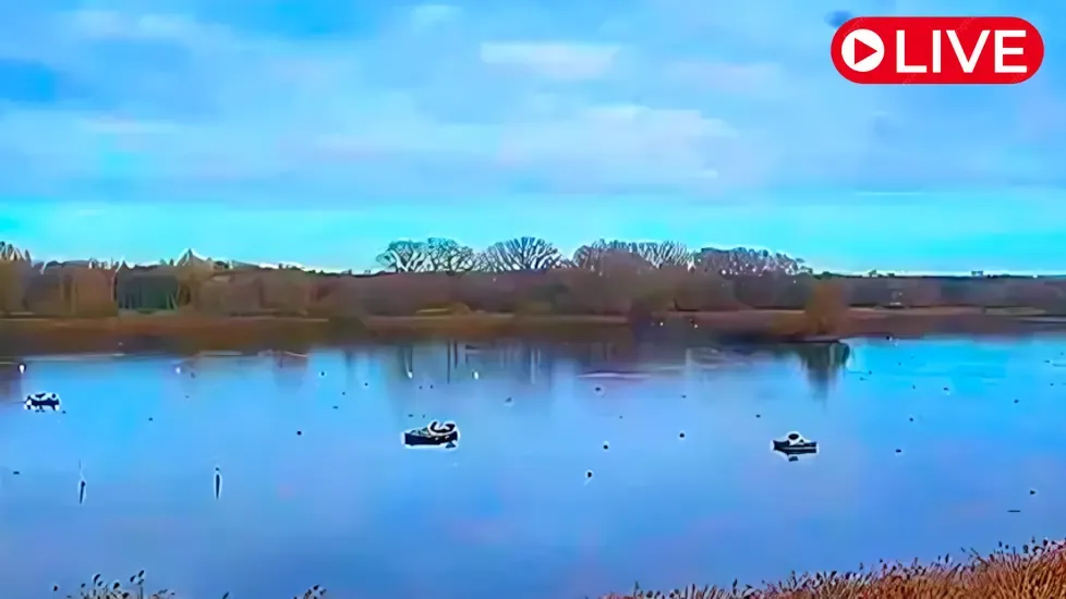 De Gavers, West Flanders Live Cam