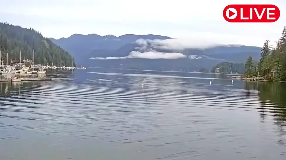 Deep Cove, Vancouver Live Cam