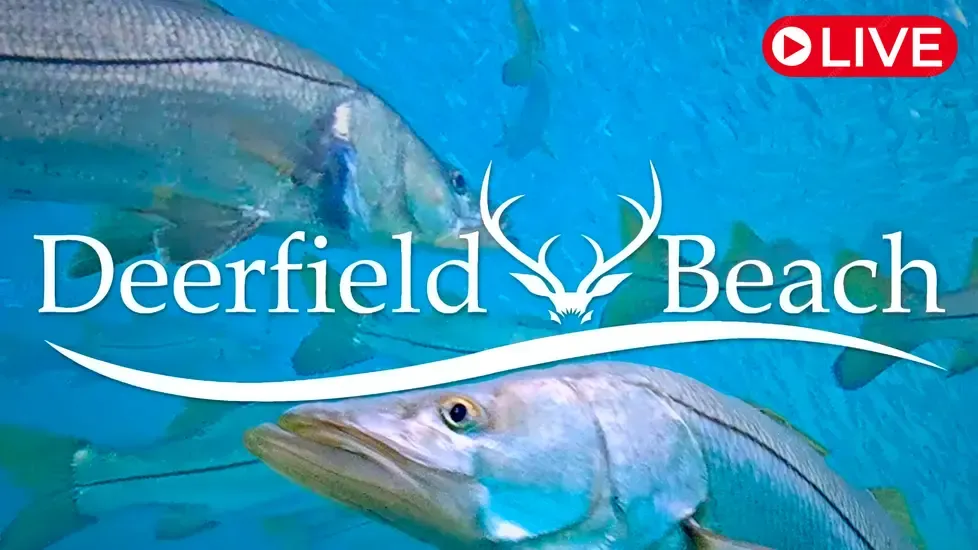 Deerfield Beach underwater Live Cam