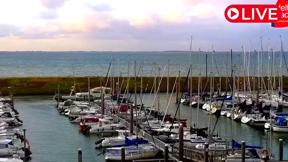 Delta Yacht Live Cam