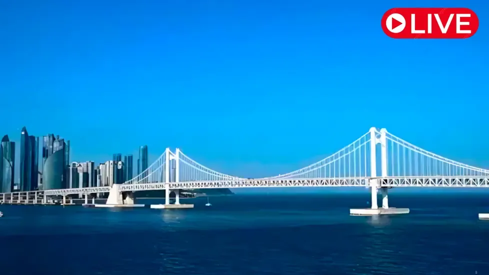 Diamond Bridge, Busan Live Cam