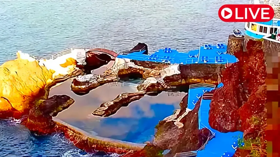 Doca do Cavacas, Funchal Live Cam