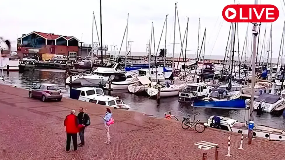 Dormakade, Urk Live Cam