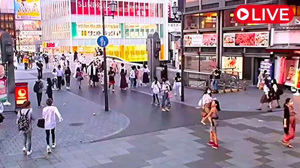 Dotonbori, Osaka Live Cam