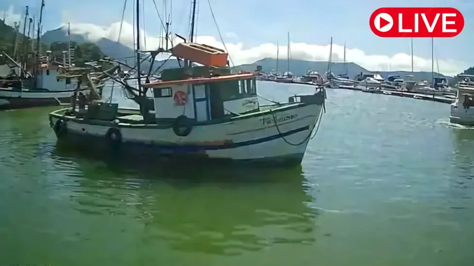 Dársena Saco da Ribeira, stan São Paulo kamera na żywo