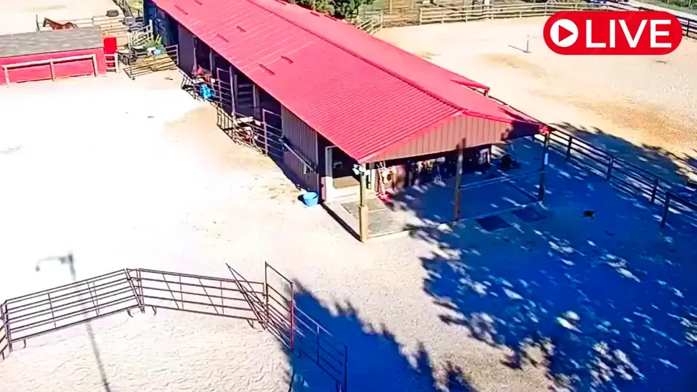 Dunrovin Ranch, Montana Live Cam