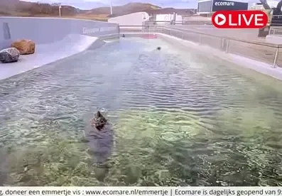 Ecomare Seal Sanctuary, NL