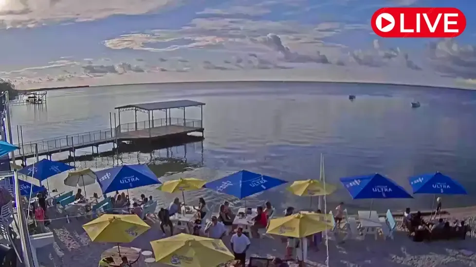 Farm & Fire Beach, Florida Live Cam