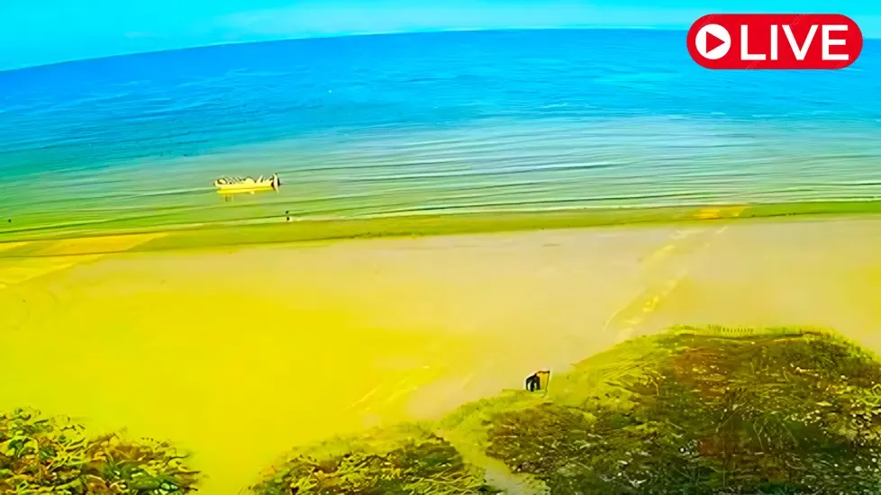 Fort Myers Beach Live Cam