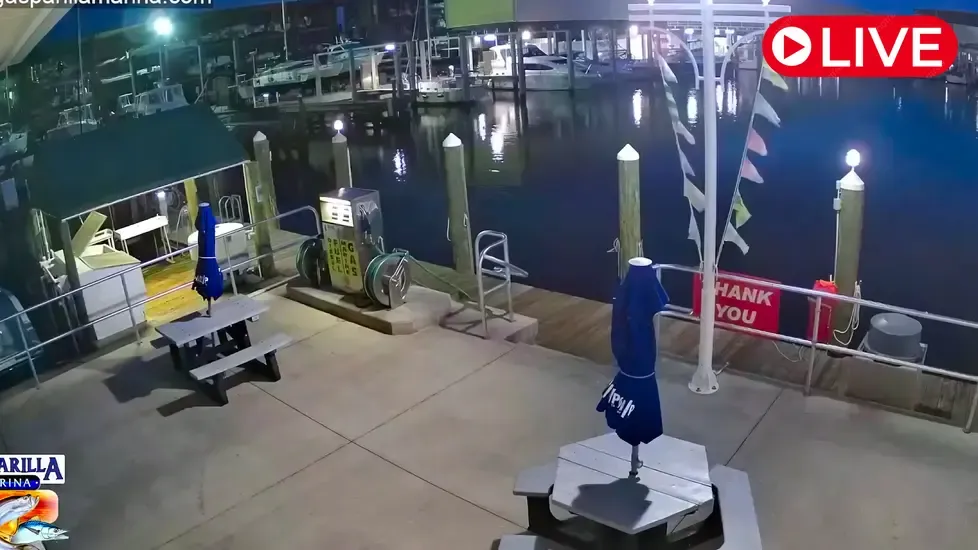 Gasparilla Marina, Florida Live Cam