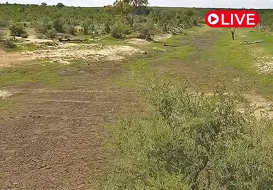 Imagine Africa Deans Dam Live