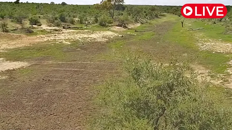 Imagine Africa Deans Dam Live Live Cam