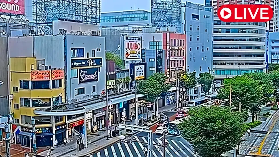 Kajimachi-Dōri, Hamamatsu Live Cam