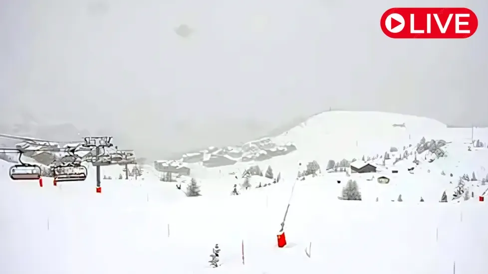 La Plagne, Bergerie Live Cam
