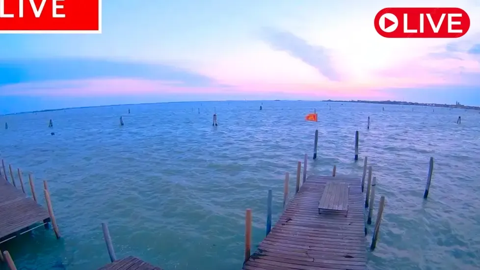 Laguna Nord Venice, Cantieri Biasin Live Cam