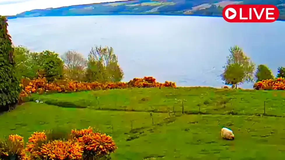 Loch Ness lake, Scotland Live Cam