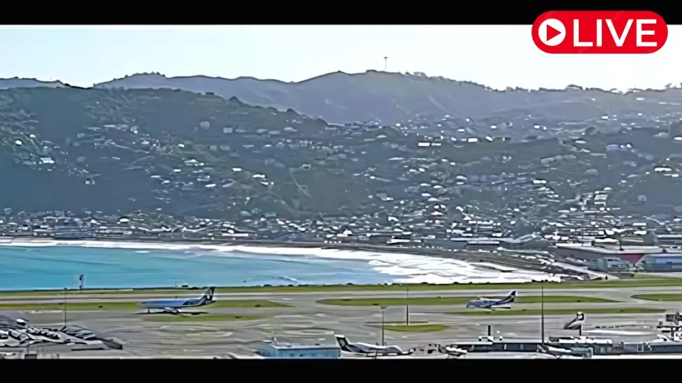 Lyall Bay Surf, NZ Live Cam