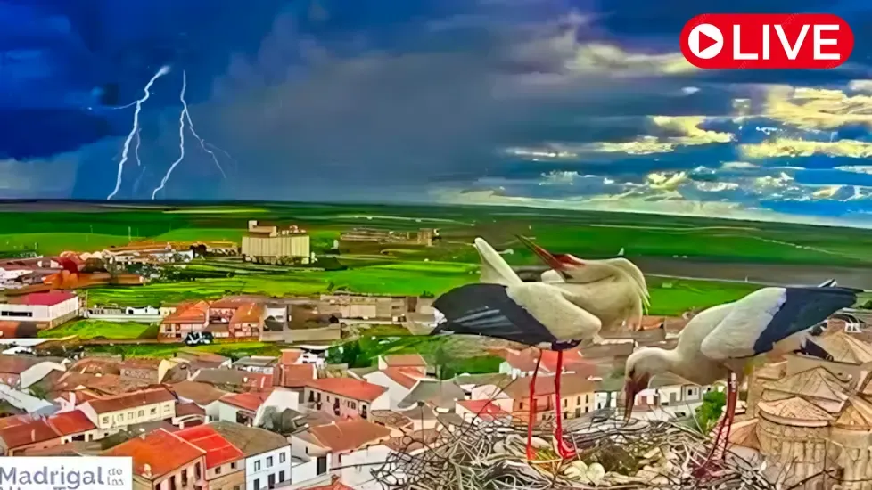 Madrigal de las Altas Torres Live Cam