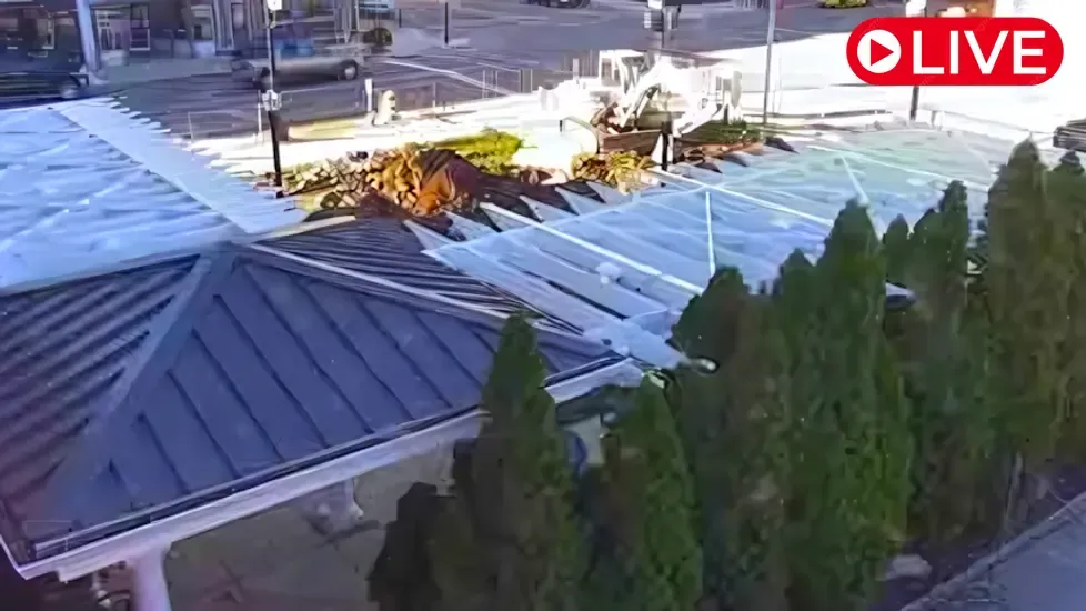 Marie Canine Plaza, Indiana Live Cam