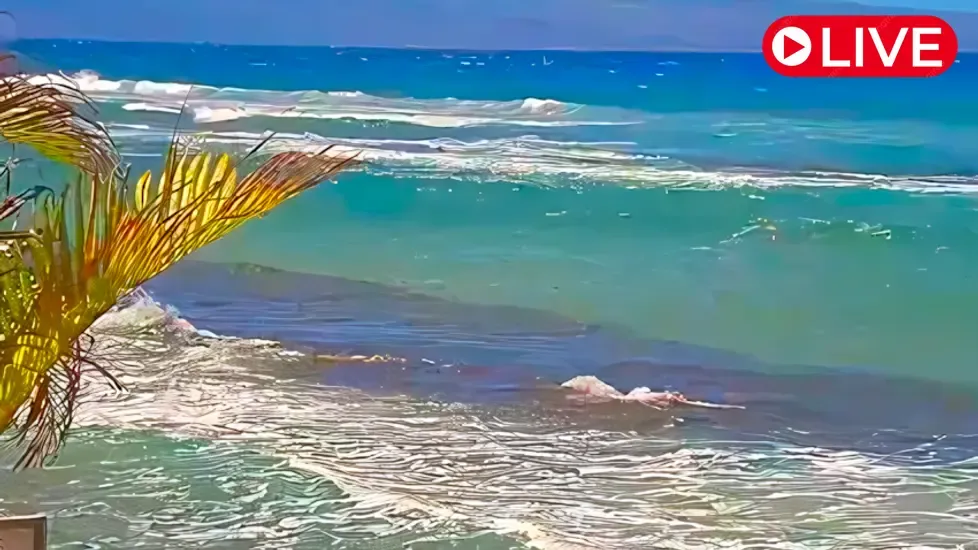 Meeresschutzgebiet, Hawaii Online-Webcam