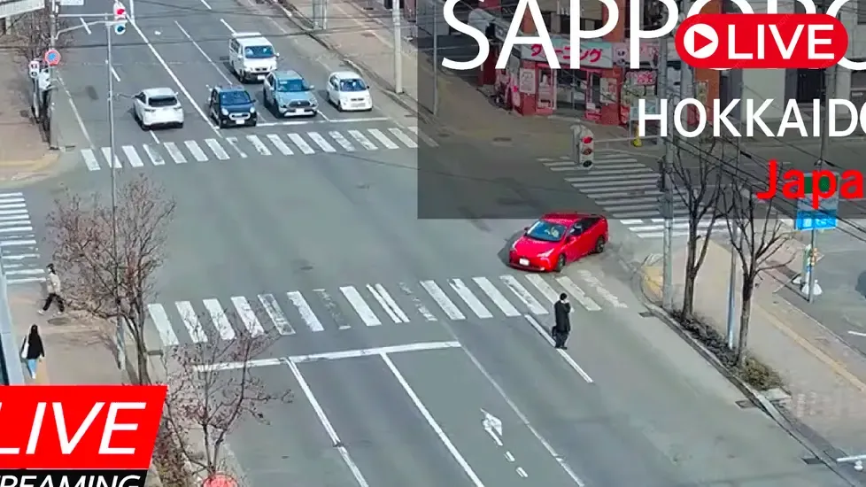 Minami 1 Jo-dori Ave, Sapporo Live Cam
