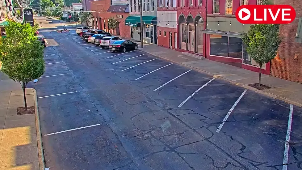 Monroe St, Coldwater Live Cam