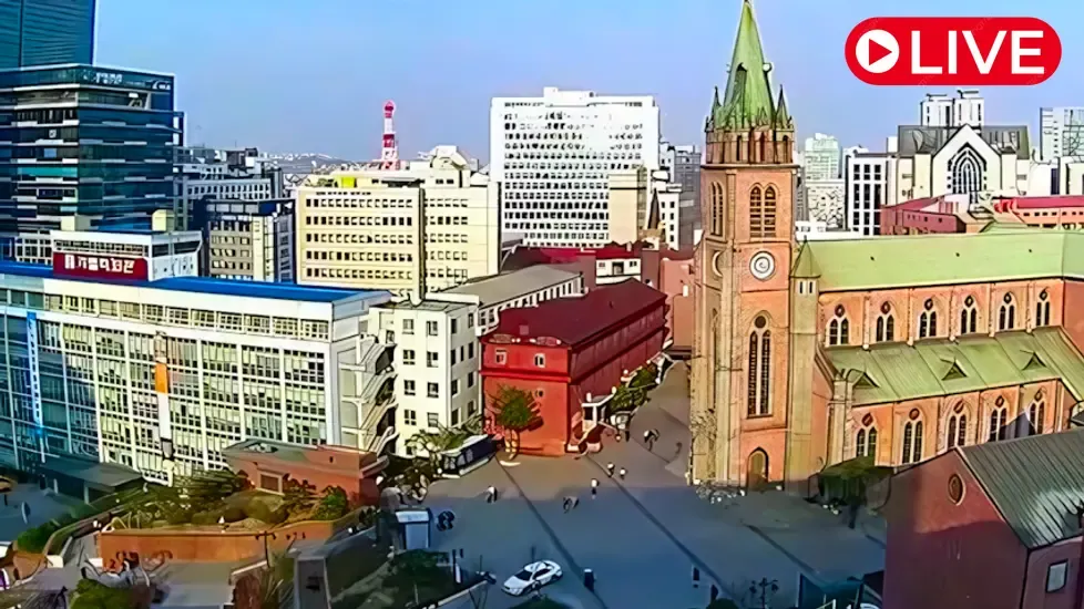 Myeongdong Cathedral, Seoul Live Cam