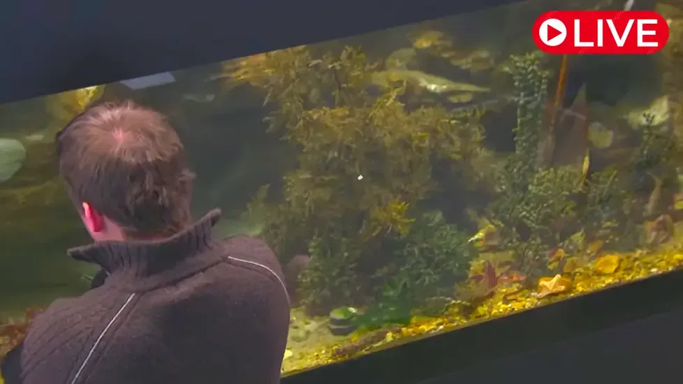 New Zealand Marine Studies Centre Live Cam