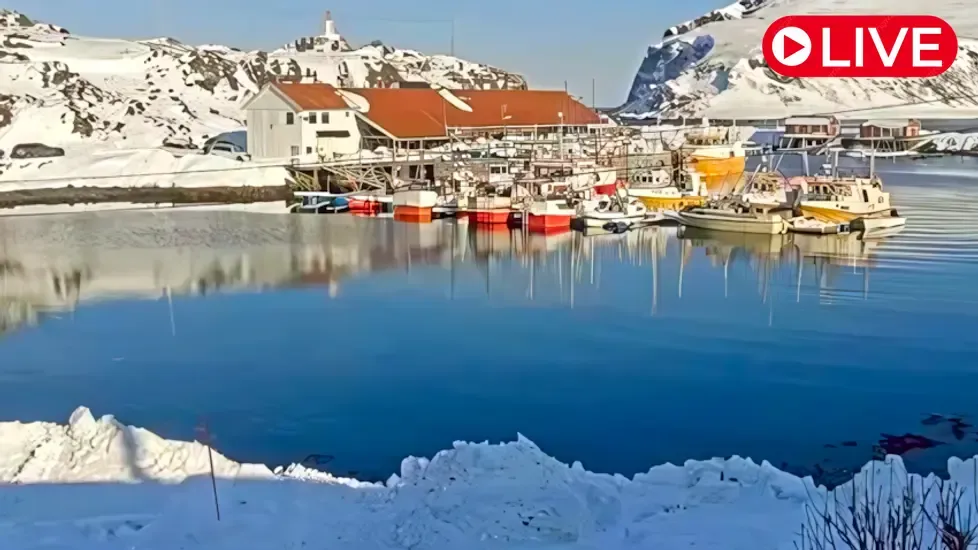 Nordkapp Havfiske, Kamøyvær Live Cam