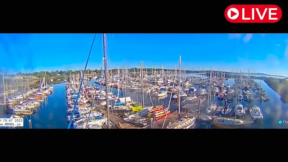 Oak Bay Marina, Victoria Live Cam