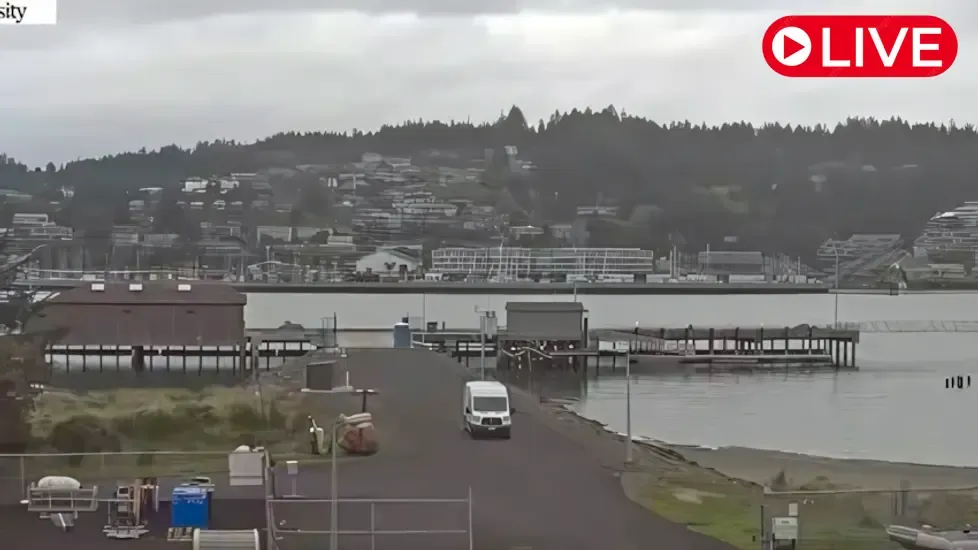 OSU Ship Operations Pier, Newport Live Cam