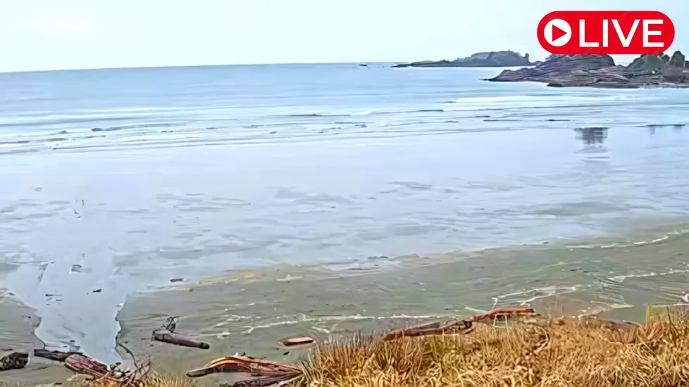 Pacific Rim National Park Live Cam