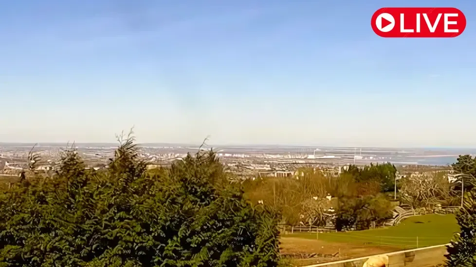 Paddocks Riding Centre, Ireland Live Cam