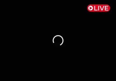 Palace Bridge, Saint Petersburg