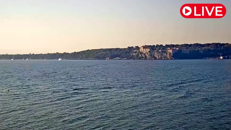 Palm Beach, Cannes Live Cam